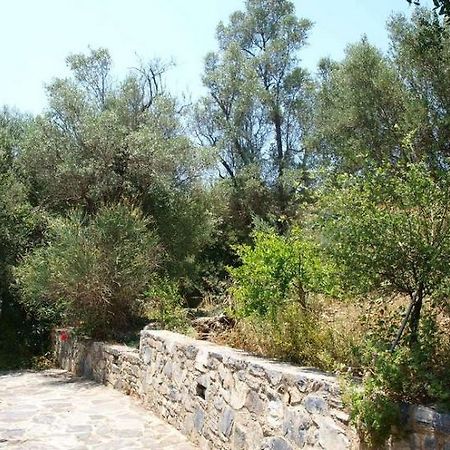 Aposperitis Villas Θεοδώρα Εξωτερικό φωτογραφία